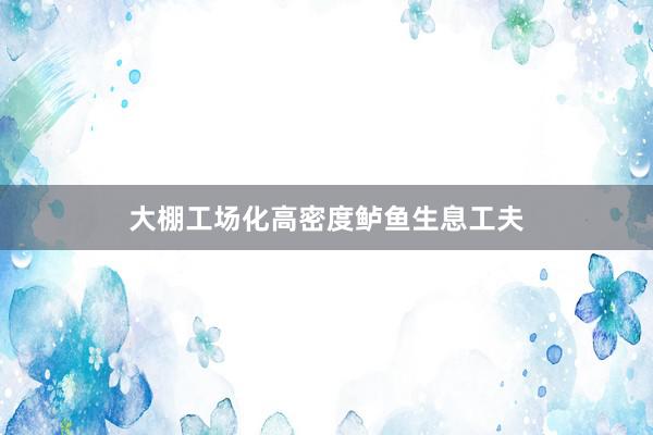 大棚工场化高密度鲈鱼生息工夫